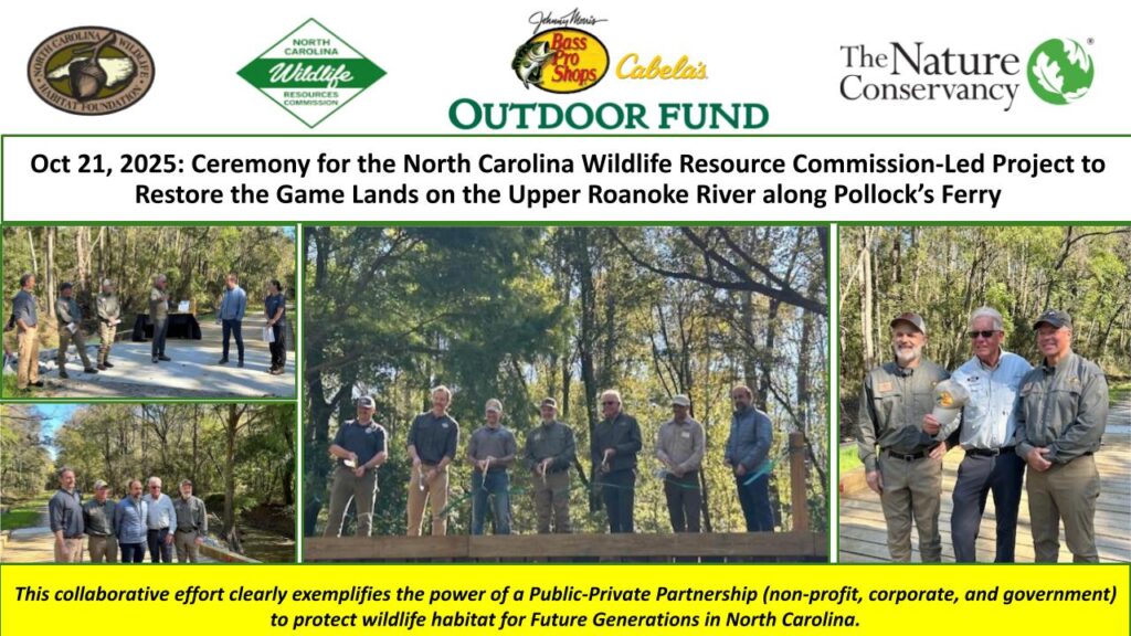 Restoring Game Lands Upper Roanoke River (2)